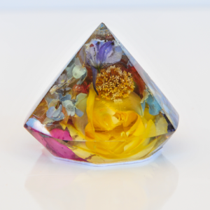 Ring & Bracelet Holder